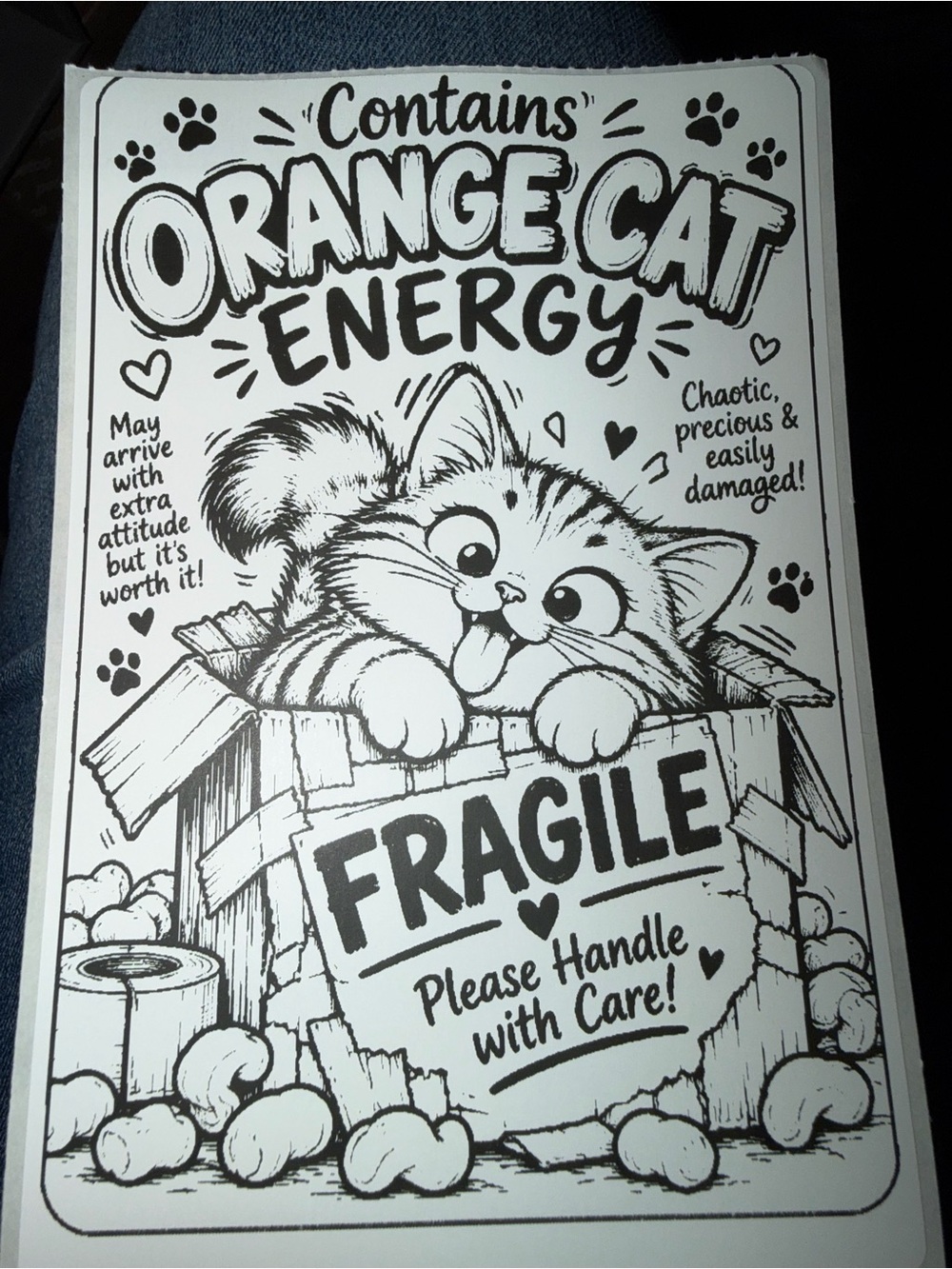 Orange Cat Energy Fragile Sticker 4x6 50 count